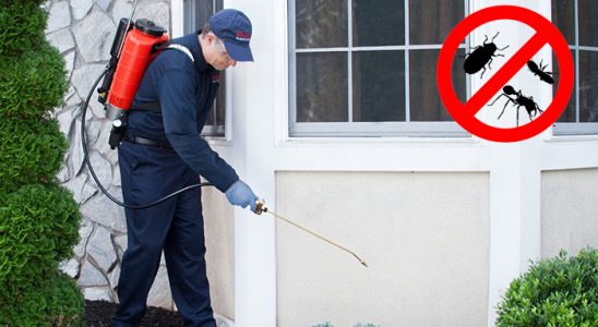 Düzköy Dezenfeksiyon böcek ilaçlama ve haşere kontrolü — ilaclama-tr.com